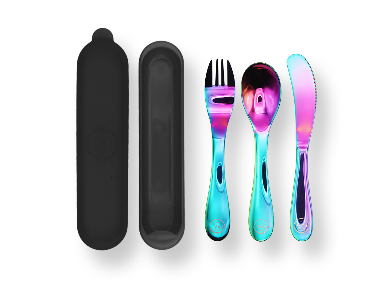Chopsticks and stainless cutlery in case