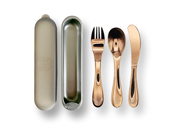 Stainless steel spoon, fork, knife with case