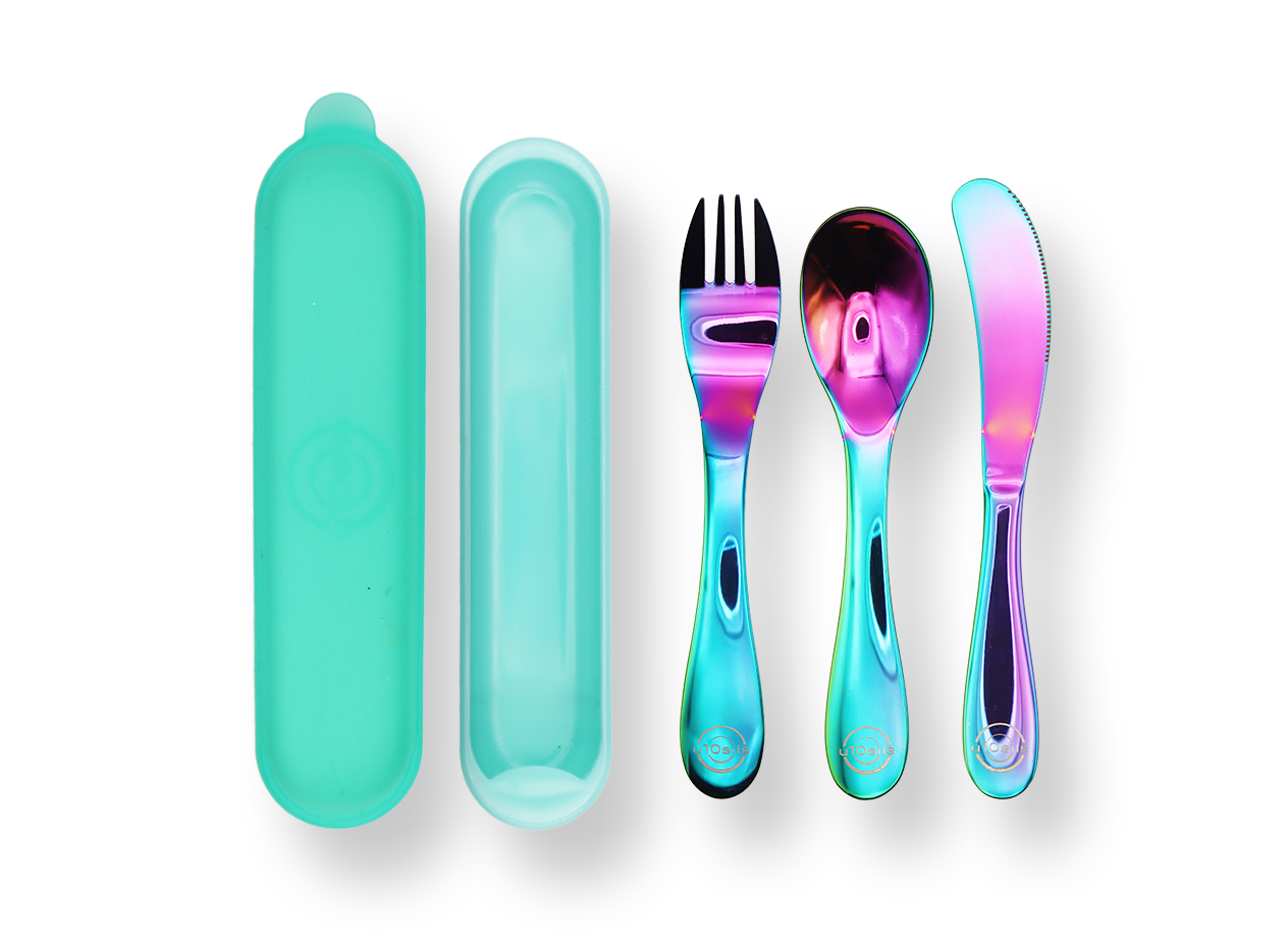 Stainless steel lunch set with carry case