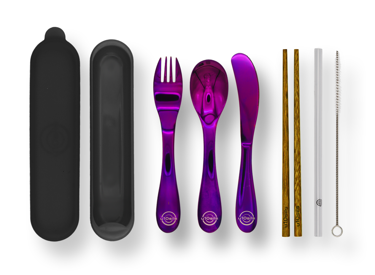 Complete stainless steel cutlery and lunch tote combo