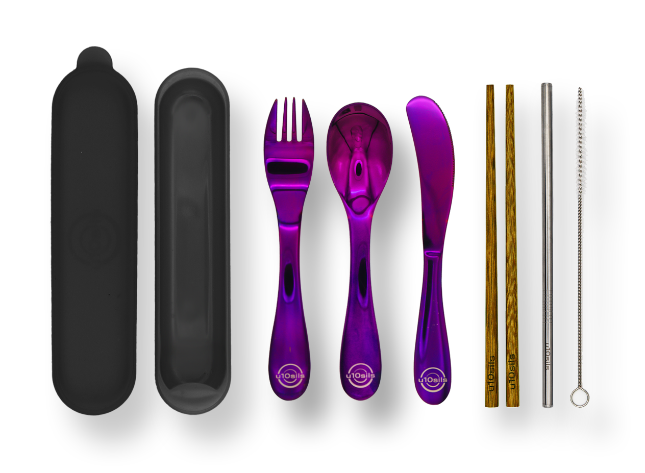 Travel-ready stainless steel cutlery with insulated lunch box