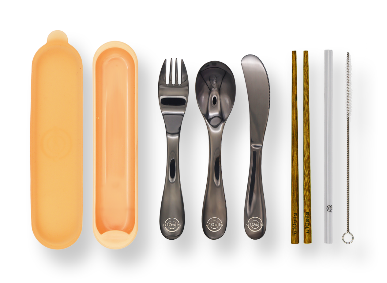 Portable stainless steel lunch cutlery with pouch