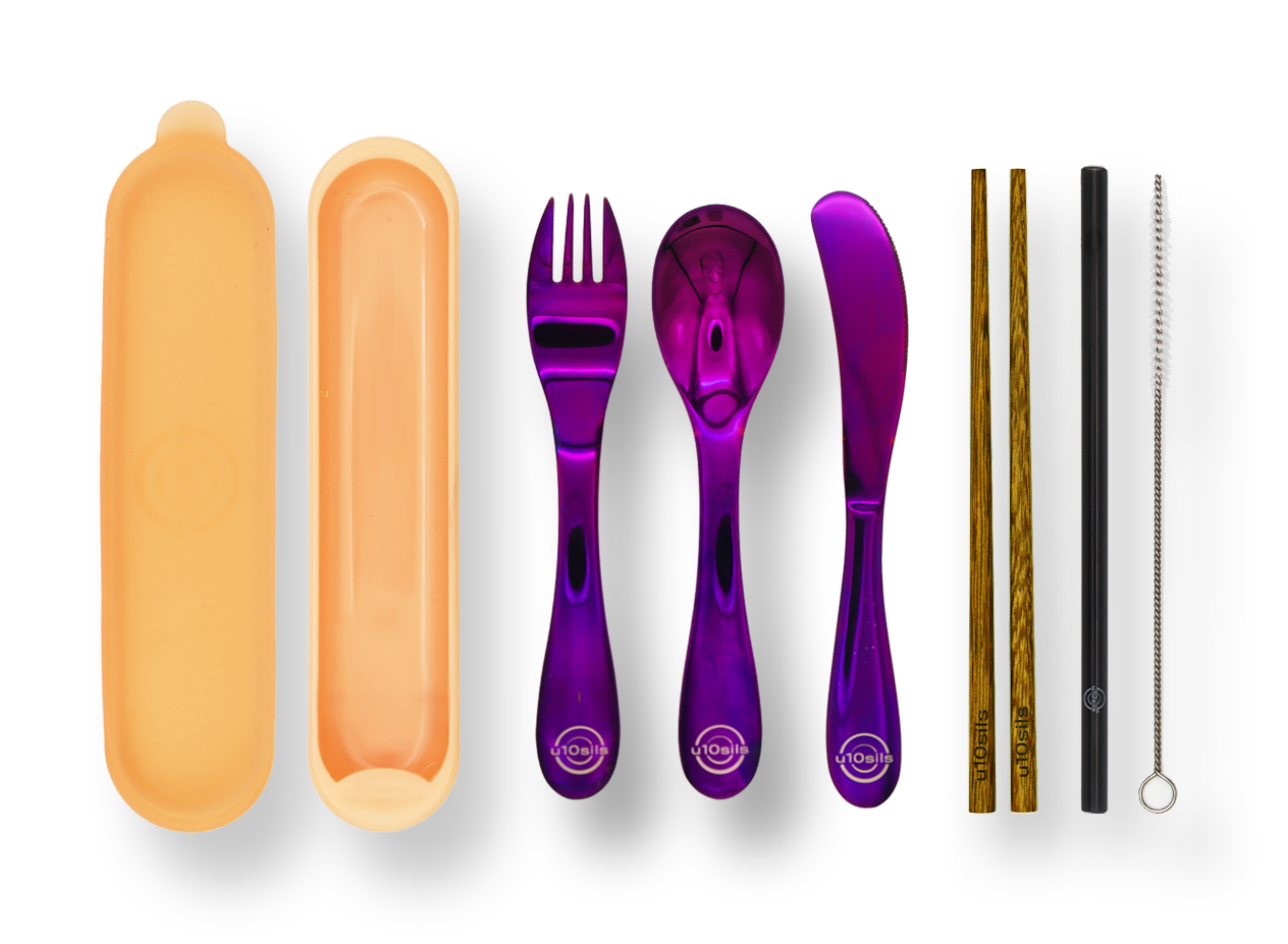 Eco-friendly stainless steel utensils with portable lunch box