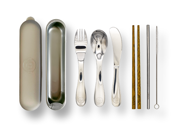 Stainless steel lunch utensils with durable carrying case