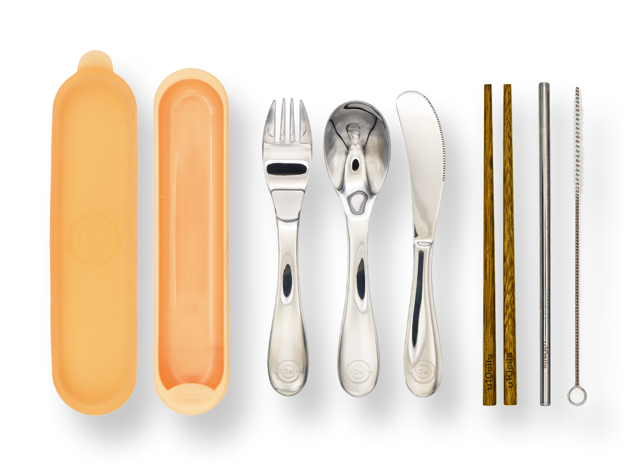 Stainless steel cutlery with lunch box for picnics