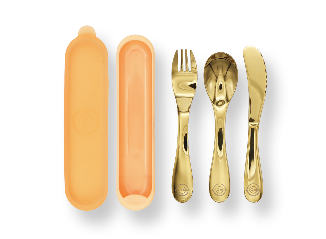Minimalist silver cutlery set in case